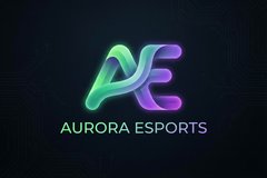 麻豆合作品牌极光电竞